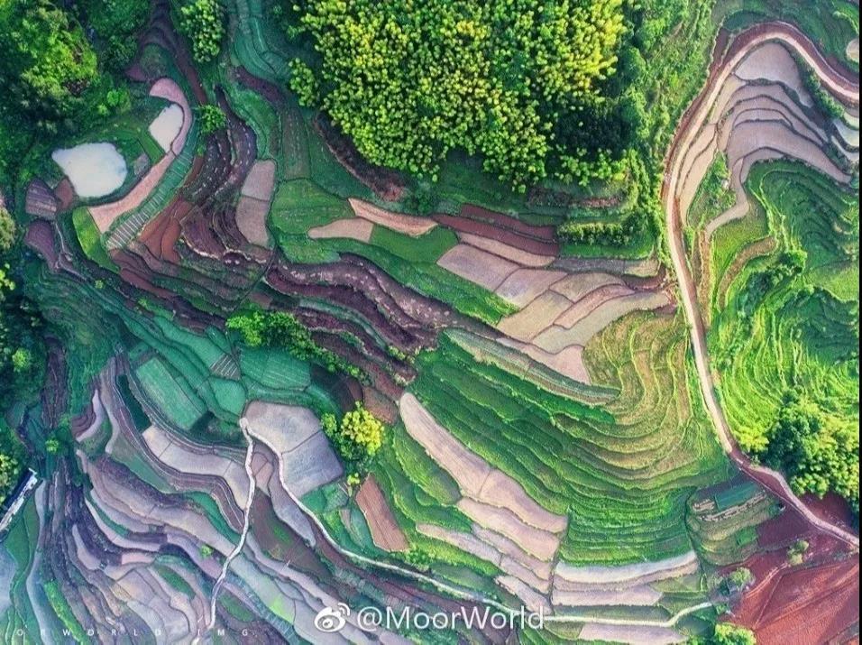 微信图片_20200518162037.jpg