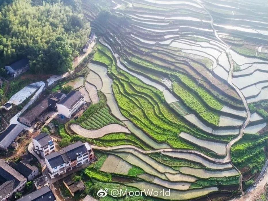 微信图片_20200518162039.jpg