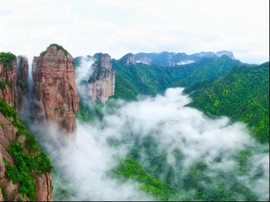 微信图片_20200519084357.jpg
